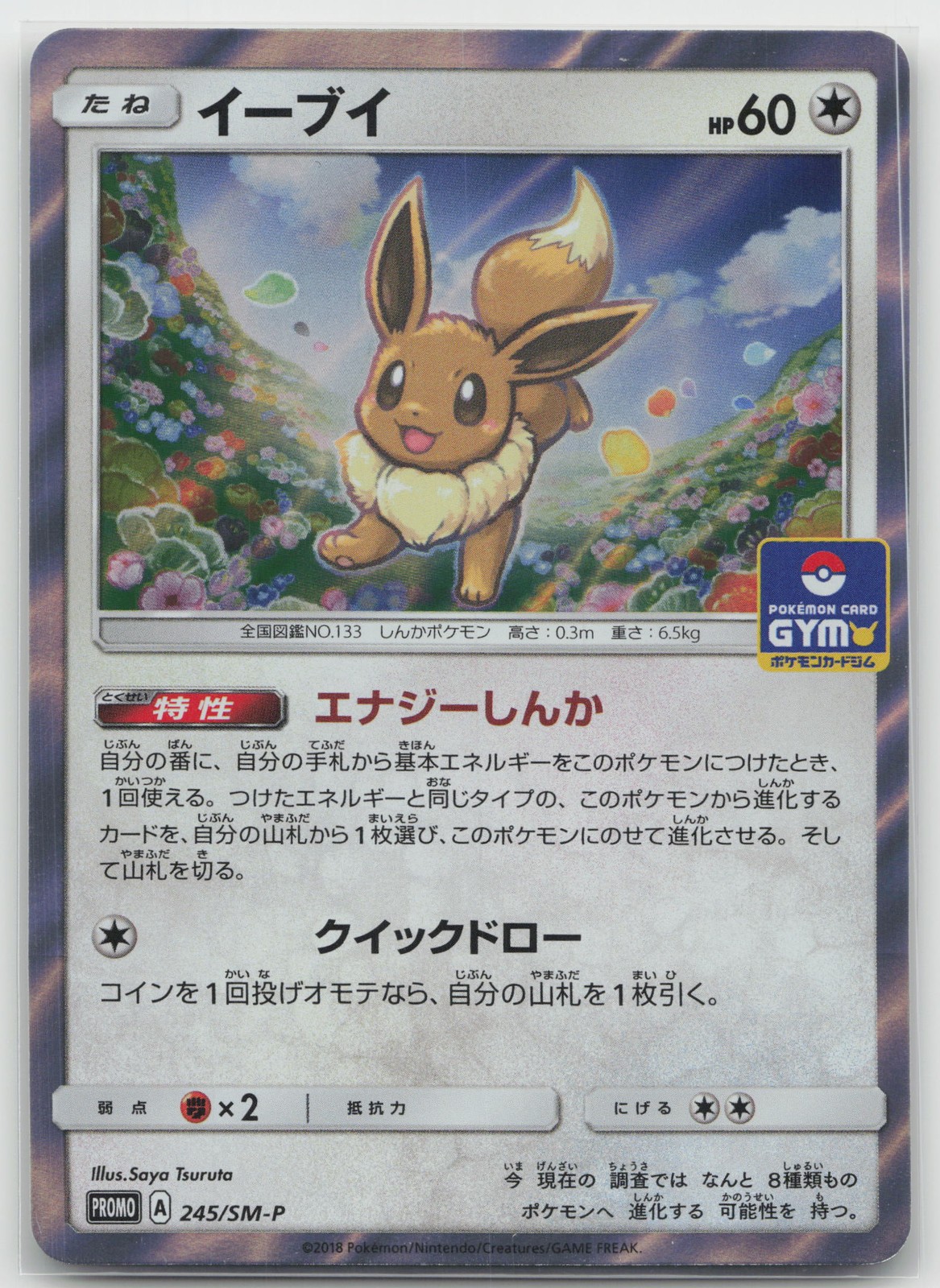 Eevee - 245/SM-P Holo SM-P: Sun & Moon Promos 245/SM-P C NM Japanese Pokemon
