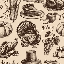 100 Cotton Fabric BTY 45" Thanksgiving Day turkey, pilgrim cornucopia, pumpkin
