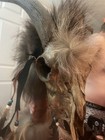 Foy’s Goat Skull Warrior/Witch Doctor Staff ~56” tall - Halloween Prop — photo 8