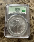 2023 W Silver Eagle ~ Burnished~ CAC Graded MS69 First Day Delivery Witterbrick