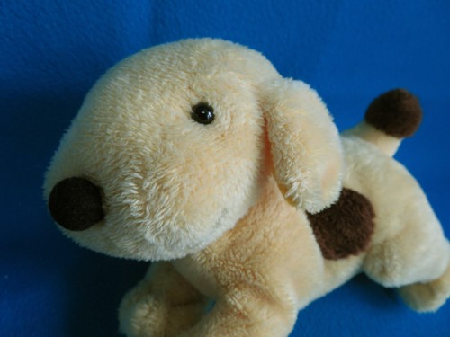 SPOT THE 🐶 GORRO PERRO CACHORRO 7" largo juguete suave Eric Hill * Pingüino de colección 2007 - Imagen 2 de 6