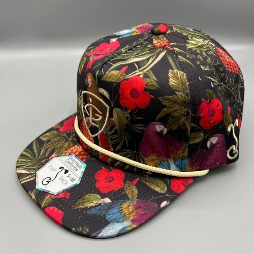 Greg Lutzka Hat Men S-M Hawaiian Skate Grassroots Snap Back Cap New - Imagen 2 de 8