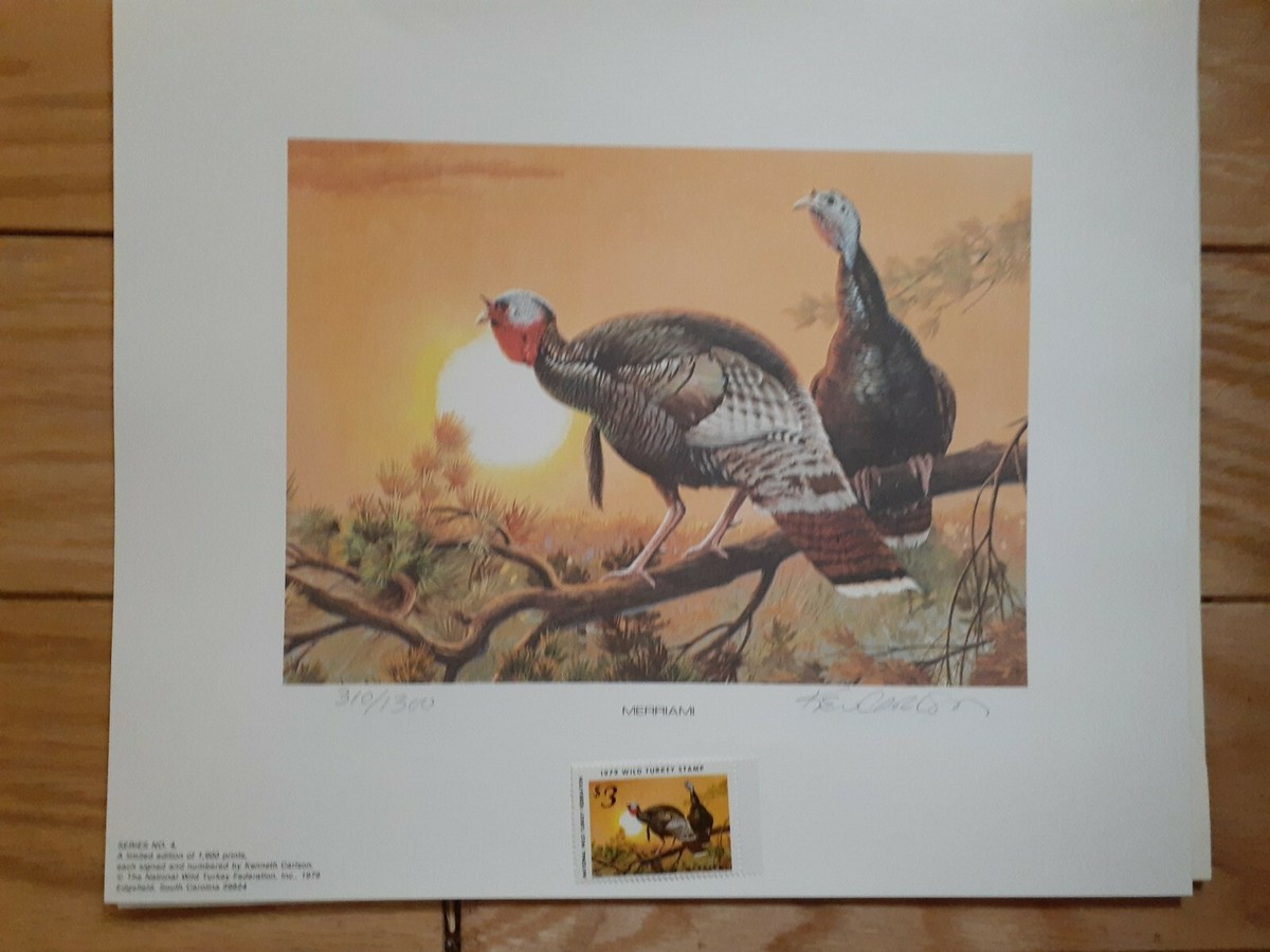 Ken Carlson NWTF 1979 Wild Turkey Stamp Print 