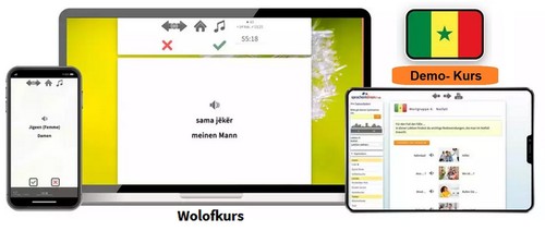 81 Sprachen von A bis Z Multimedia-Sprachkurs Demo vor Kauf der Vollversion - Bild 164 von 165