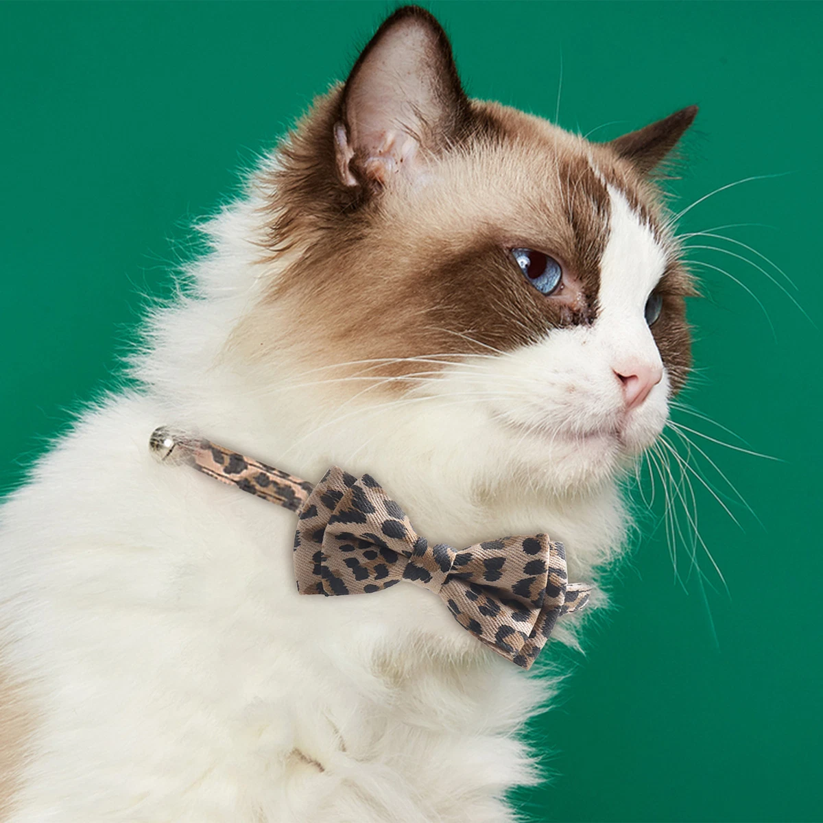 Fabric top cat collar