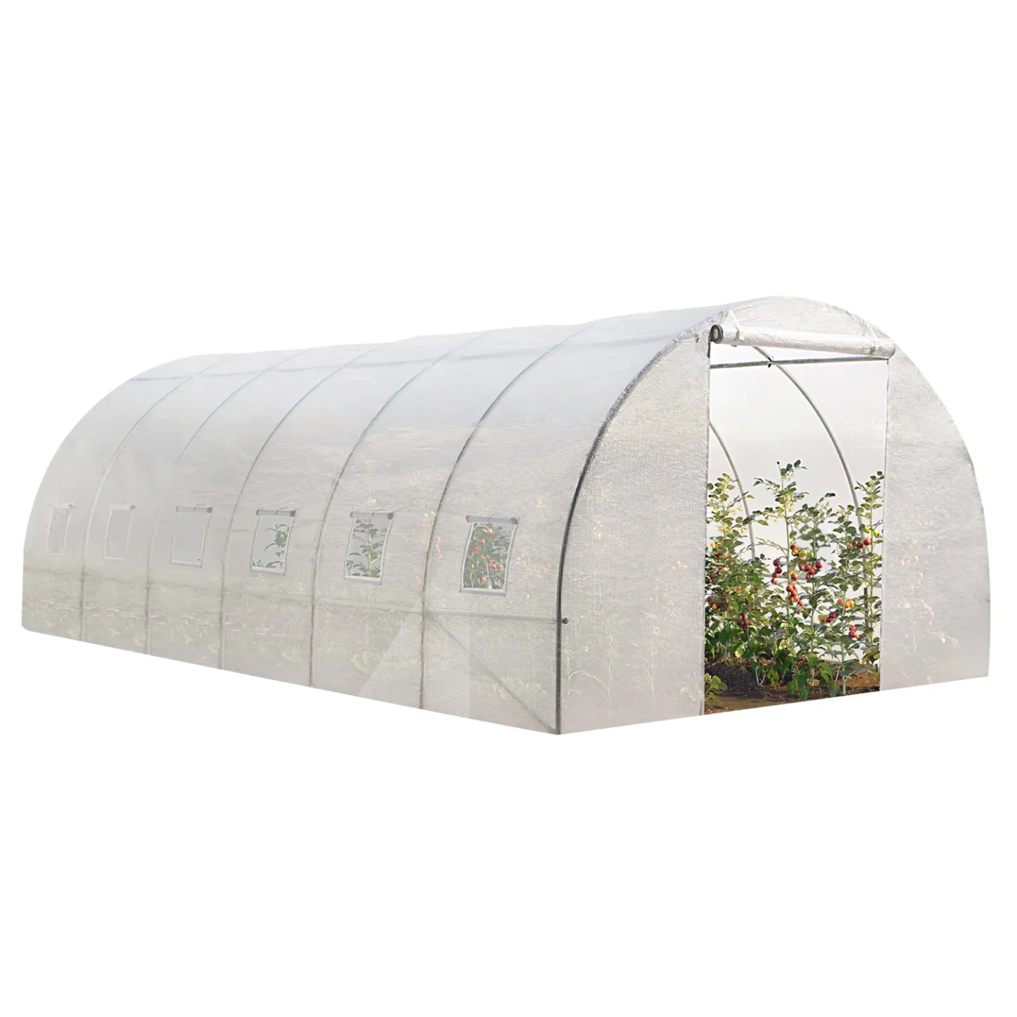 Serre tunnel de jardin maraîchère CRIMÉE blanche de 18M² avec bâche en polyéthylène 6x3 M