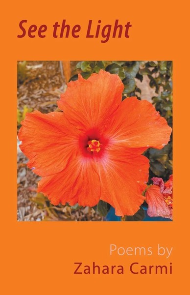 See The Light Zahara Carmi Taschenbuch Kartoniert / Broschiert Englisch 2022-image