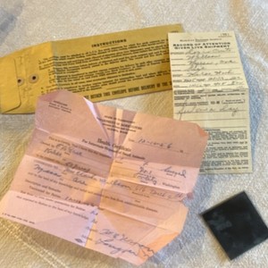 1956 Railway Express Shipment Documents & Health Certificate with photo