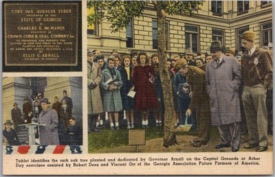 1940s ATLANTA Georgia LINEN Postcard CORK OAK TREE State Capitol Governor Arnall