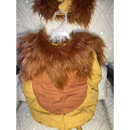 Disfraz de Halloween vintage para niño Lillian Vernon "León" talla 2/4 - Imagen 3 de 12
