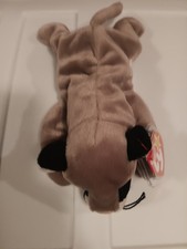 Ty Beanie Babies Canyon the Cougar  DOB 05/29/98