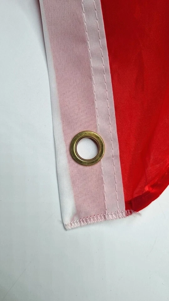 Schwenkfahne verschiedene Länder Stockflagge Stabfahne Hissflagge 90 X 150 Fan - Bild 3 von 4