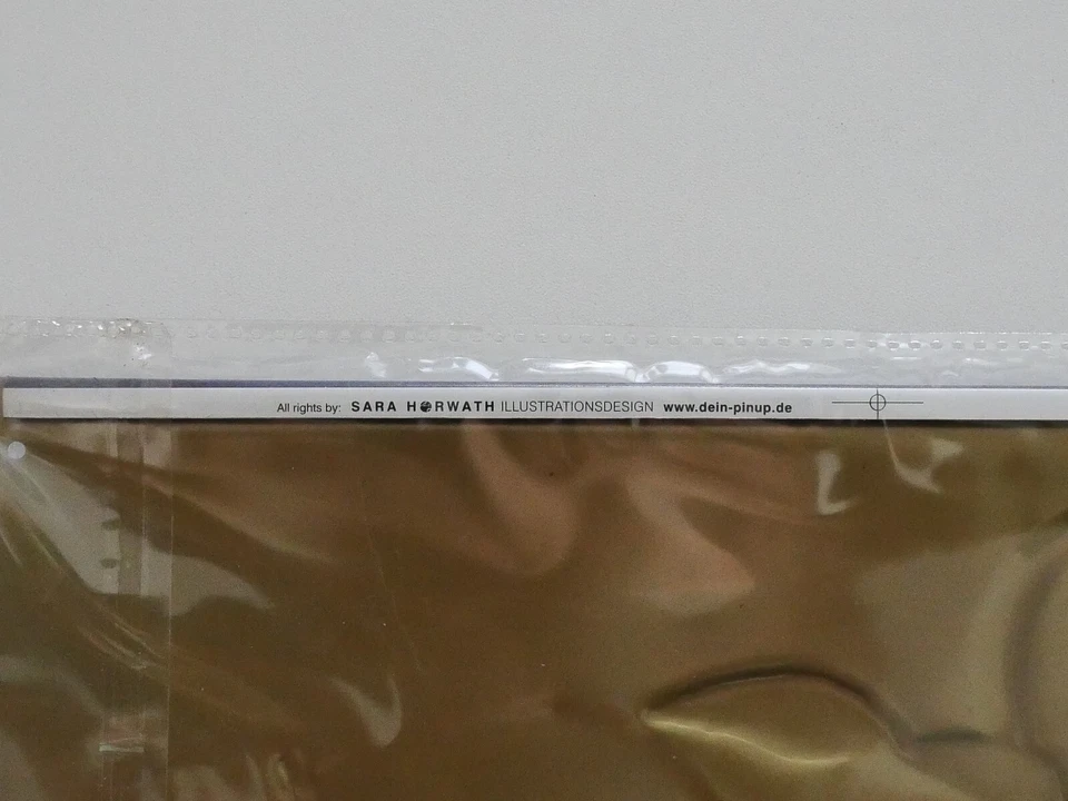 SARA HORWATH Cigar Tin Pin-Up Burlesque Metal 3D Wall Sign 7.8 X 11.8 Inch - Image 3 of 4