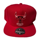 Chicago Bulls Hat Mens Fitted 7 5/8 Mitchell & Ness Hardwood Classics MVP Red
