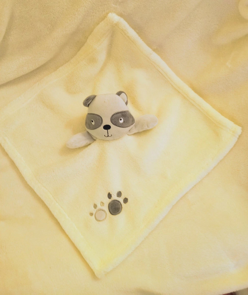 Raccoon security online blanket