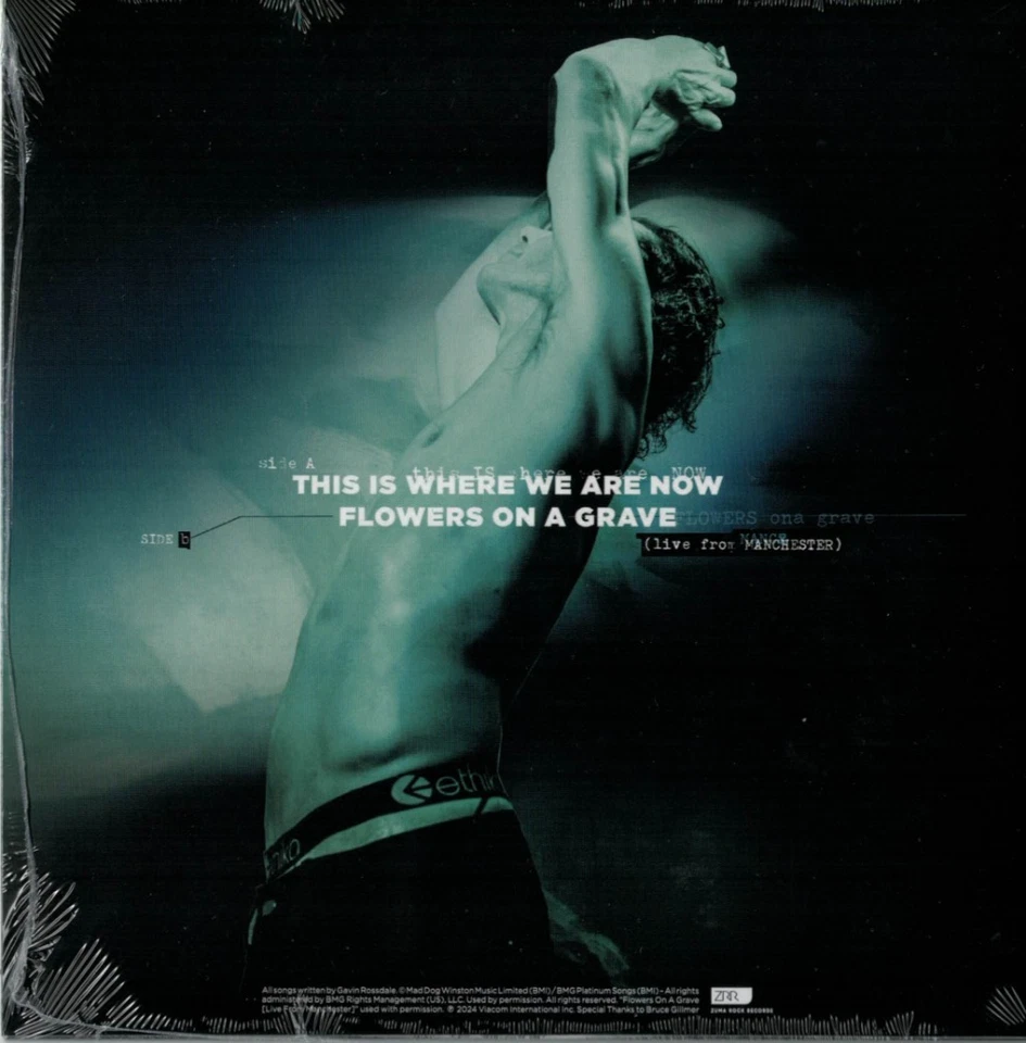 KOMPLETT SIGNIERTES POSTER: BUSH + excl. 7" VINYL LP + GYM-BAG/LAMINATE VIP 2025 - Bild 3 von 4