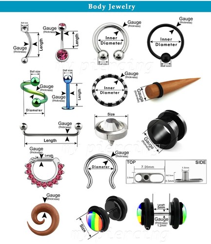 PAIR Surgical Steel Spike Horseshoe Circular Barbell Ear & Septum 12G 10G 8G - Picture 4 of 5