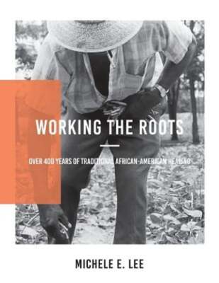 Working The Roots: Over 400 Years of Traditional African American Healing by Lee