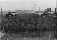 10,000 German POWs in France 8"x 10" World War II WW2 Photo Picture 42