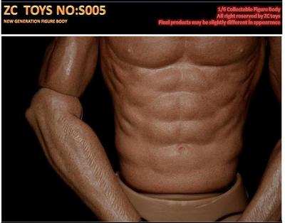 1/6 ZC Toys New Generation Emulated Figure Muscular Body For Hot