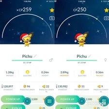 Pokemon Shiny Pichu With Santa Hat - P T C Mi'ni GO - Read item Description