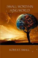 Robert Small | Small Words IN A BIG World | Taschenbuch | Englisch (2016)