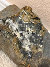 white crystal in a big rock with a fossil inside