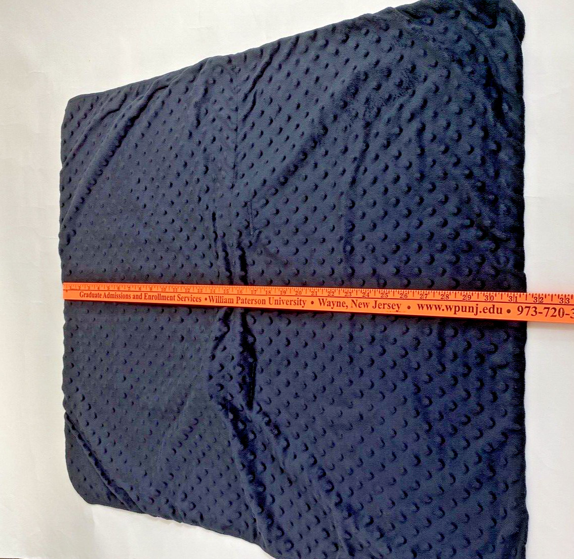 Philadelphia Eagles Infant Baby Seat Chair Liner Cozy Warm Football Game Day