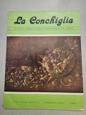 Mediterranean Shell Collecting Research Conus Cypraea Cyphome Fossil Conchology!