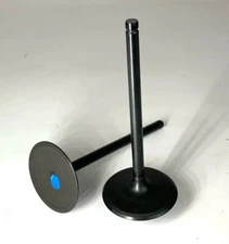 CHEVROLET PERFORMANCE INTAKE VALVE - SET OF 8 6.2L GEN V LT1 - 12629513