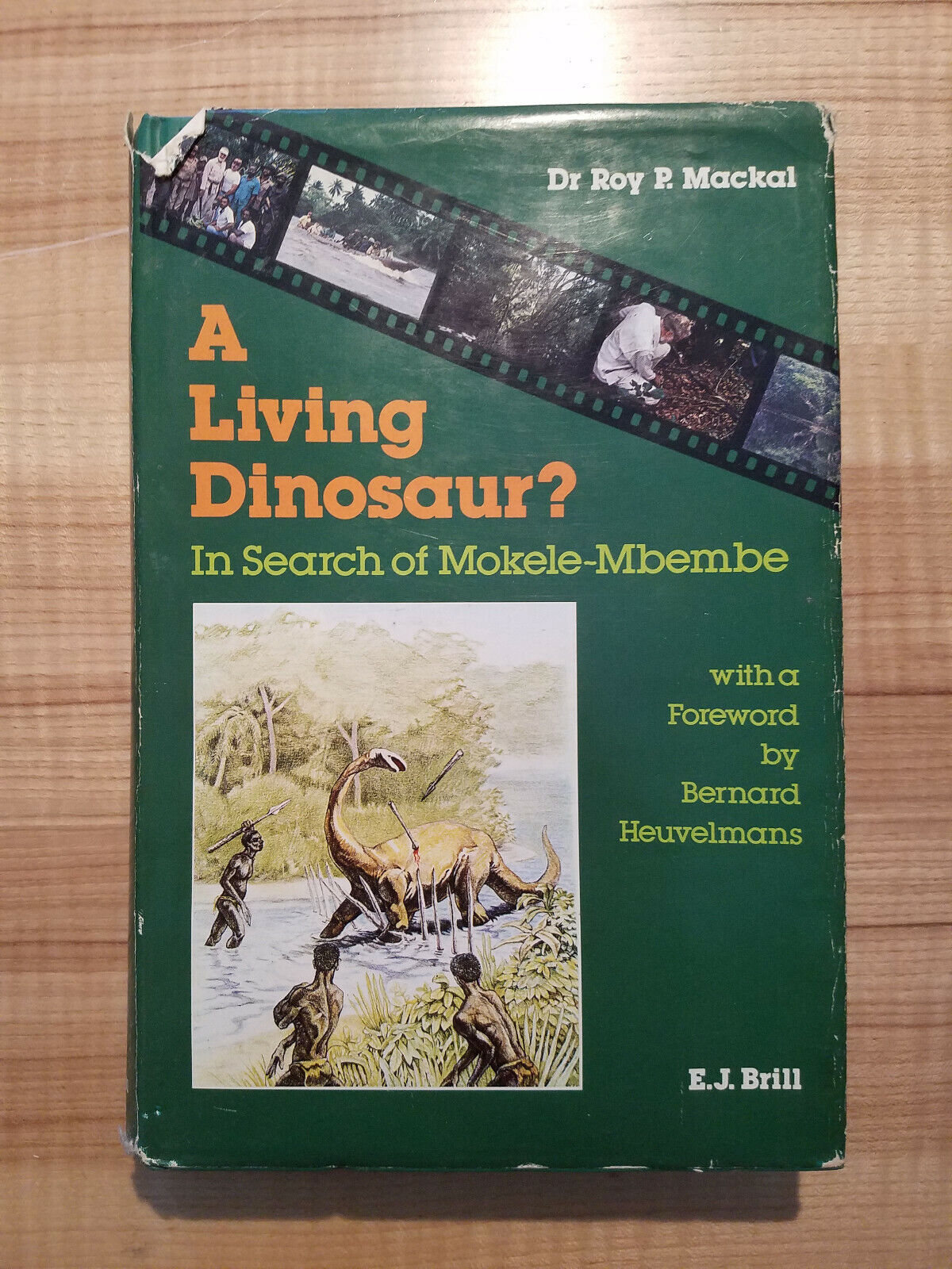 Mokele-mbembe: a living dinosaur?