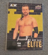 AEW Upper Deck 2023 Adam Cole AE-13 Elite
