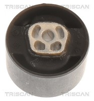 Triscan Lagerung, Motor Hinten, Motorseitig, Unten U.A. FüR CitroËN, Peugeot