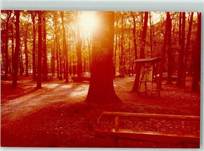 10568184 - 4060 Viersen Nature Park Schwalm-Nette 1977