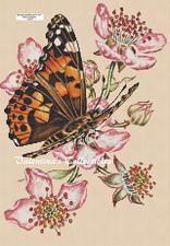Butterfly and Blossoms Counted Cross Stitch Chart No. 2-297 