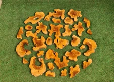 5 kg- 11 lbs Olive Wood Cookie Slices For Resinart Projects, Raw Olive Wood Slab