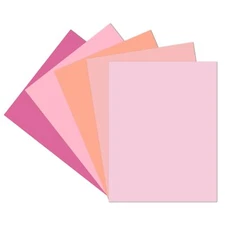 30 Sheets Pink Cardstock 8.5x11" 5 Shades 65lb/180gsm DIY Cards Crafts