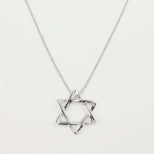 David Necklace Pendant Sv925-2 
