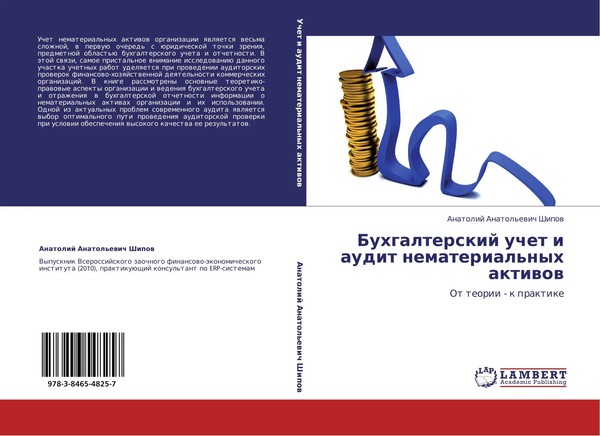 Anatolij Anatol'ewich Shipow | Buhgalterskij Uchet I Audit Nematerial'nyh...-image