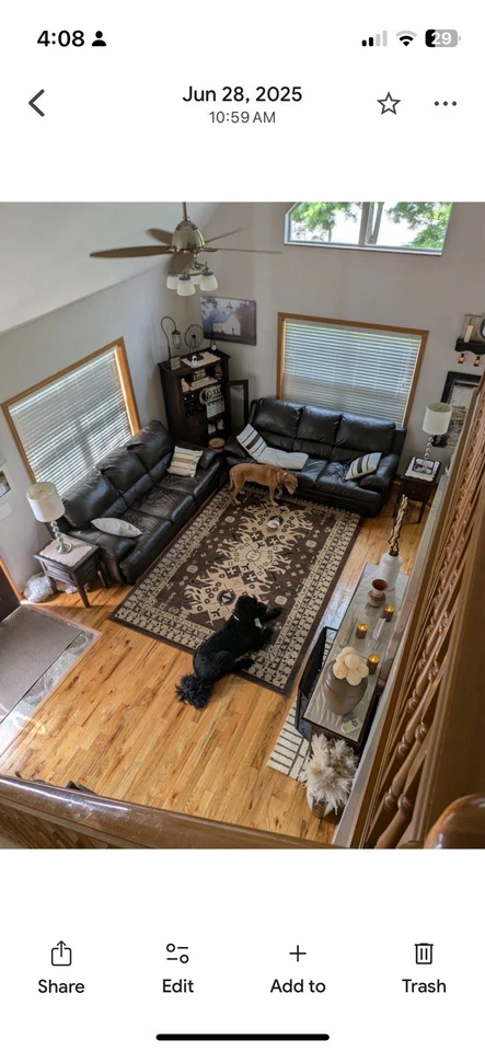 Tapete de área 8X10 - Imagem 2 de 4