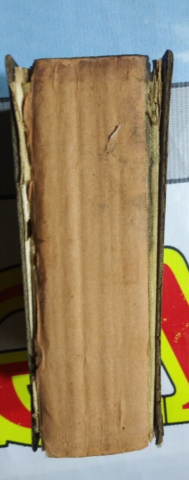 Picture 6 of 24