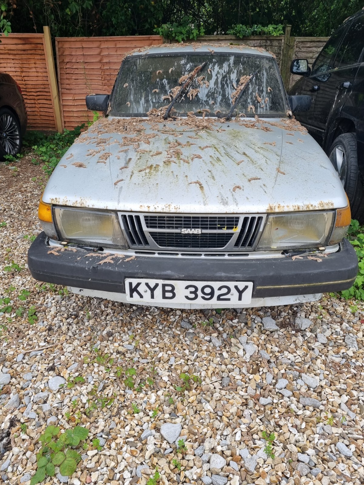 Image 4 - Saab 900 Turbo Classic Collectors - *BARN FIND*TURNS OVER*
