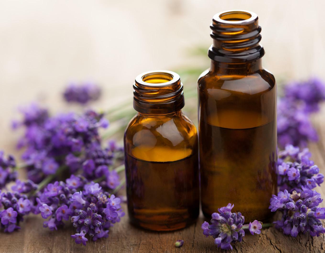 A PRACTICAL GUIDE TO USING ESSENTIAL OILS NEW Signed by Authors US$14.00
