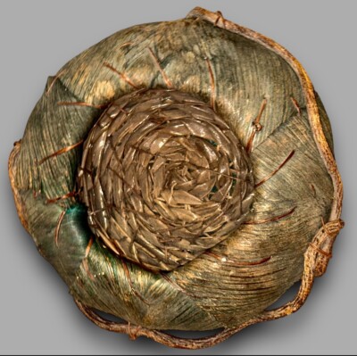SOUTHWESTERN HANDMADE DRIED PALM LEAF WOVEN BASKET WITH VINE BRANCH HANDLE
