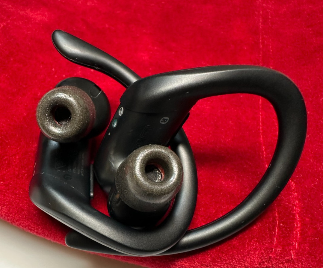 Beats by Dr. Dre Powerbeats Pro In Ear Wireless Headphones - Black