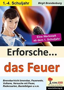 Erforsche... das Feuer: Eine Werkstatt ab dem 1. Sc... | Buch | Zustand sehr gut - Birgit Brandenburg