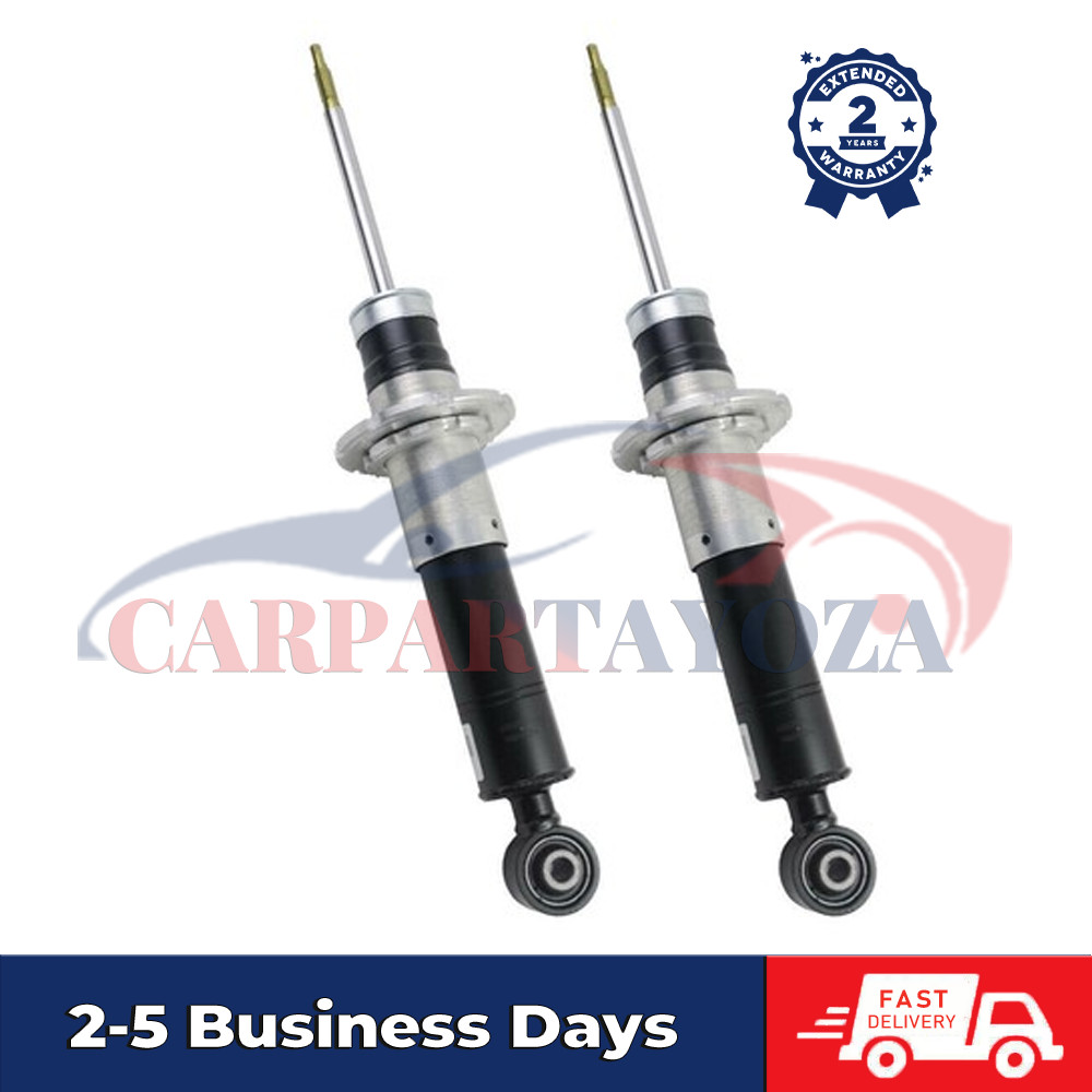 Ferrari 458 Spider 2010-2015 Rear Dampers 2 pcs P/N 255864