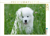 Calvendo Puzzle An Image From The Samoyed Puppies Calendar | 1000 Pieces, Finish