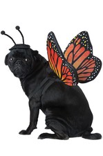 Monarch Butterfly Bug Pet Dog Costume