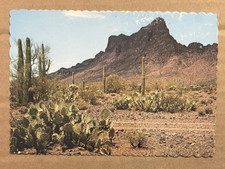 POSTAL SIN USAR - PICO PICACHO, POR CIERTO. PHOENIX & TUCSON, ARIZONA - DEFECTUOSO EN LA PARTE SUPERIOR